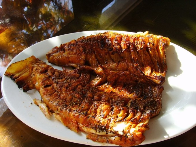 虹鱒魚.png