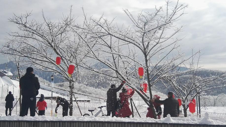 第一場春雪