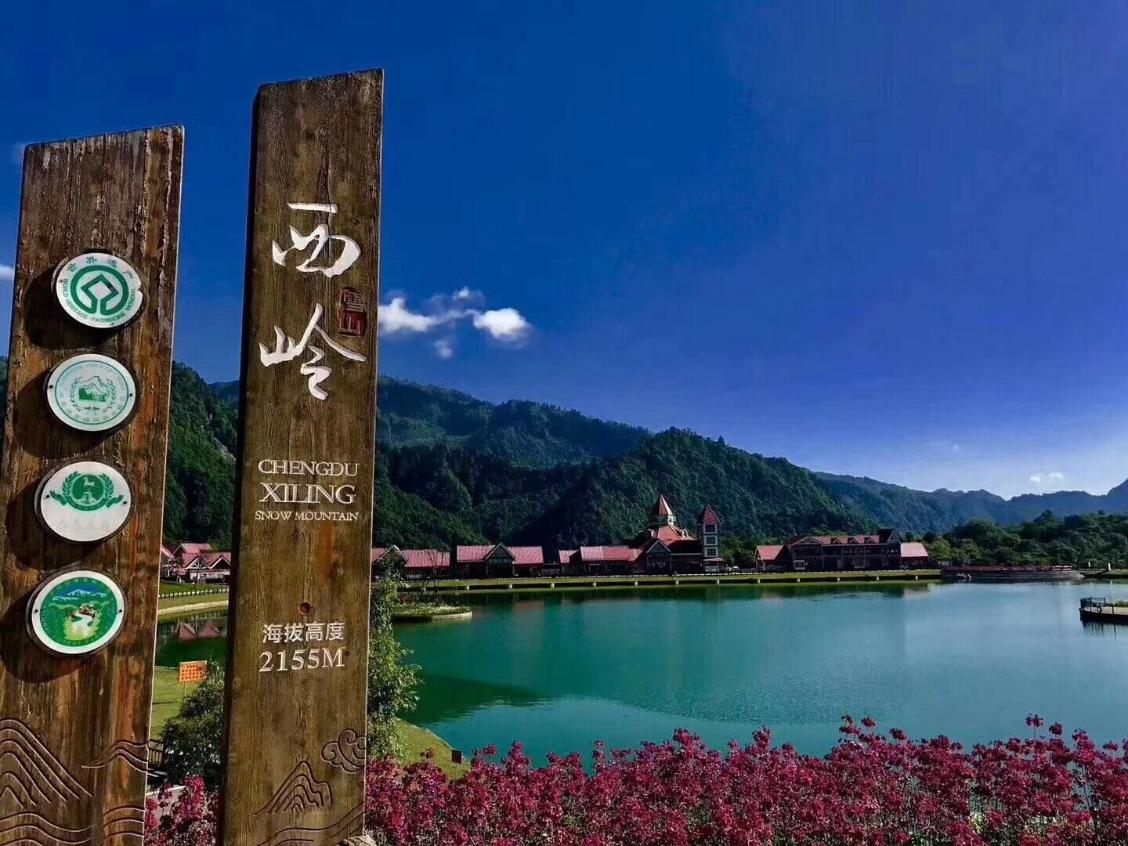 報(bào)春花開 美麗自來