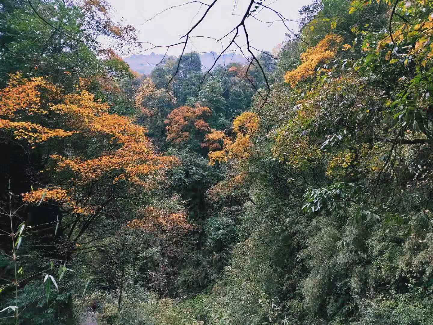 獨處深秋